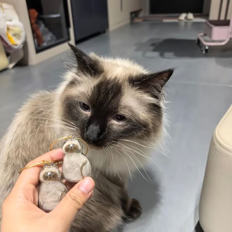 😽Cute cat fur souvenir pendant🎁