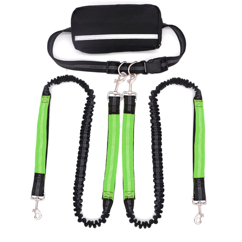 Hands Free Dog Leash with Zipper Bag