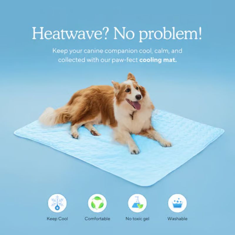 Cooling Mat for Dogs (4x More Effective)