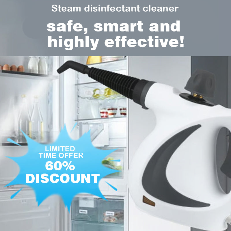 Steam Cleaner
