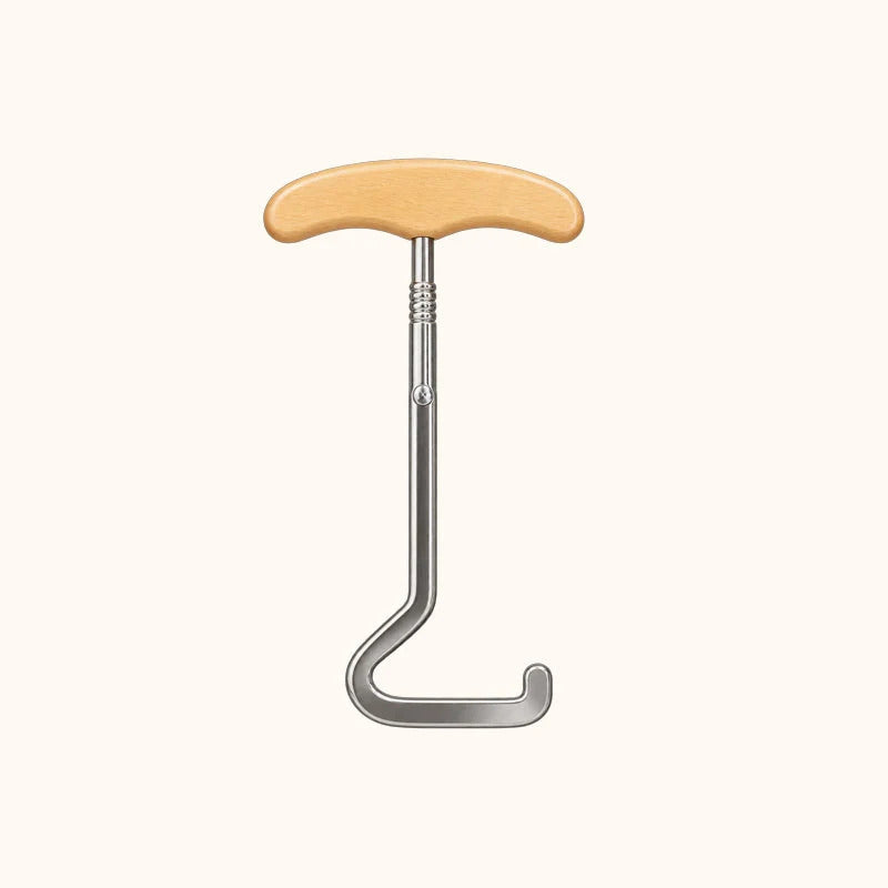 Horse-shaped auxiliary shoe hook