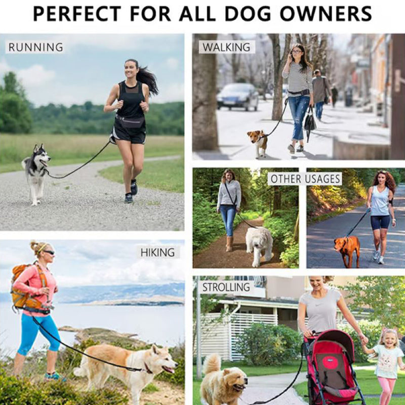 Hands Free Dog Leash with Zipper Bag