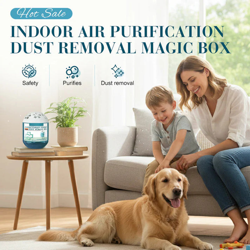 Air purifier dust adsorption magic box