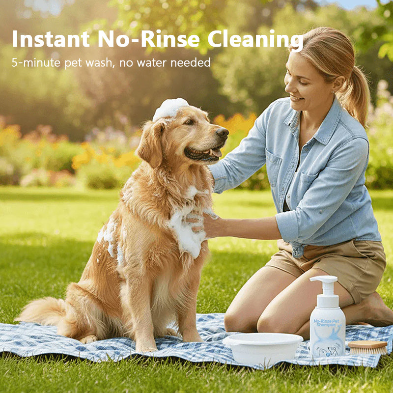 Pet no-rinse foam shampoo