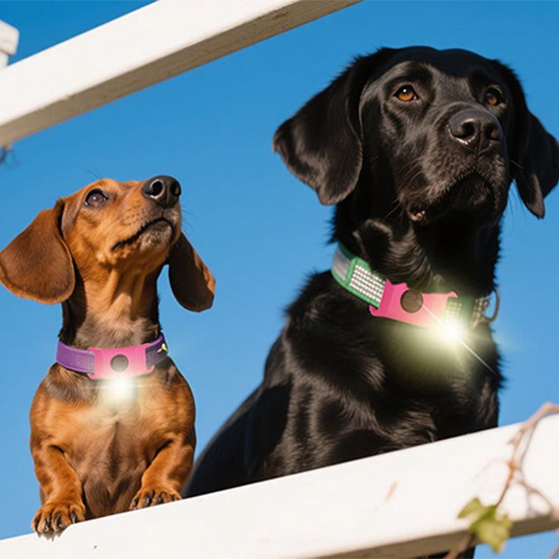 Pet anti-insect collar buckle