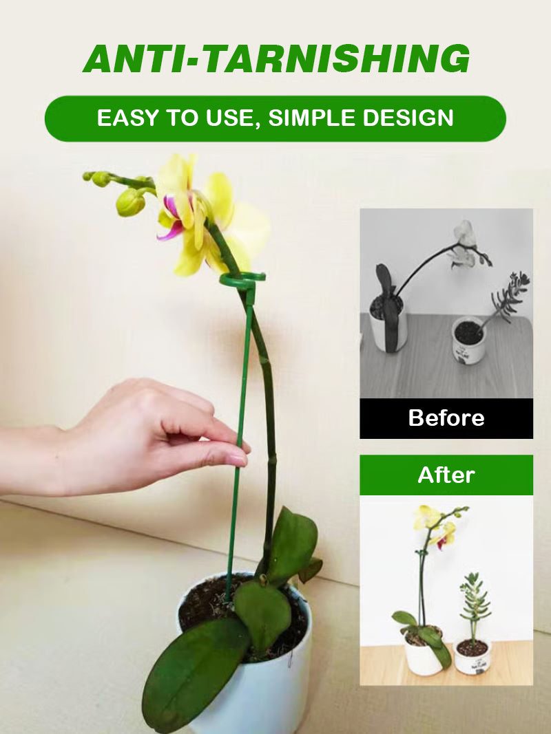 Climbing plant anti-lodging fixed bracket