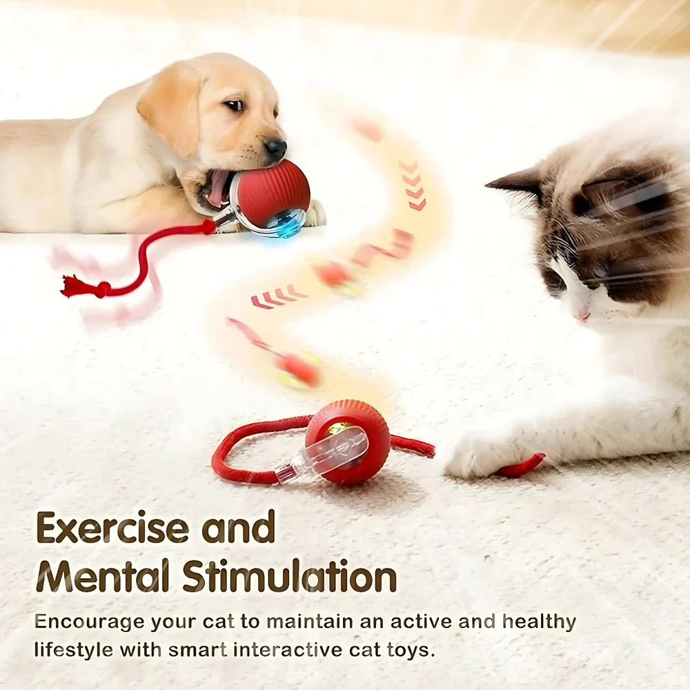 Smart Rolling Pet Toy Ball