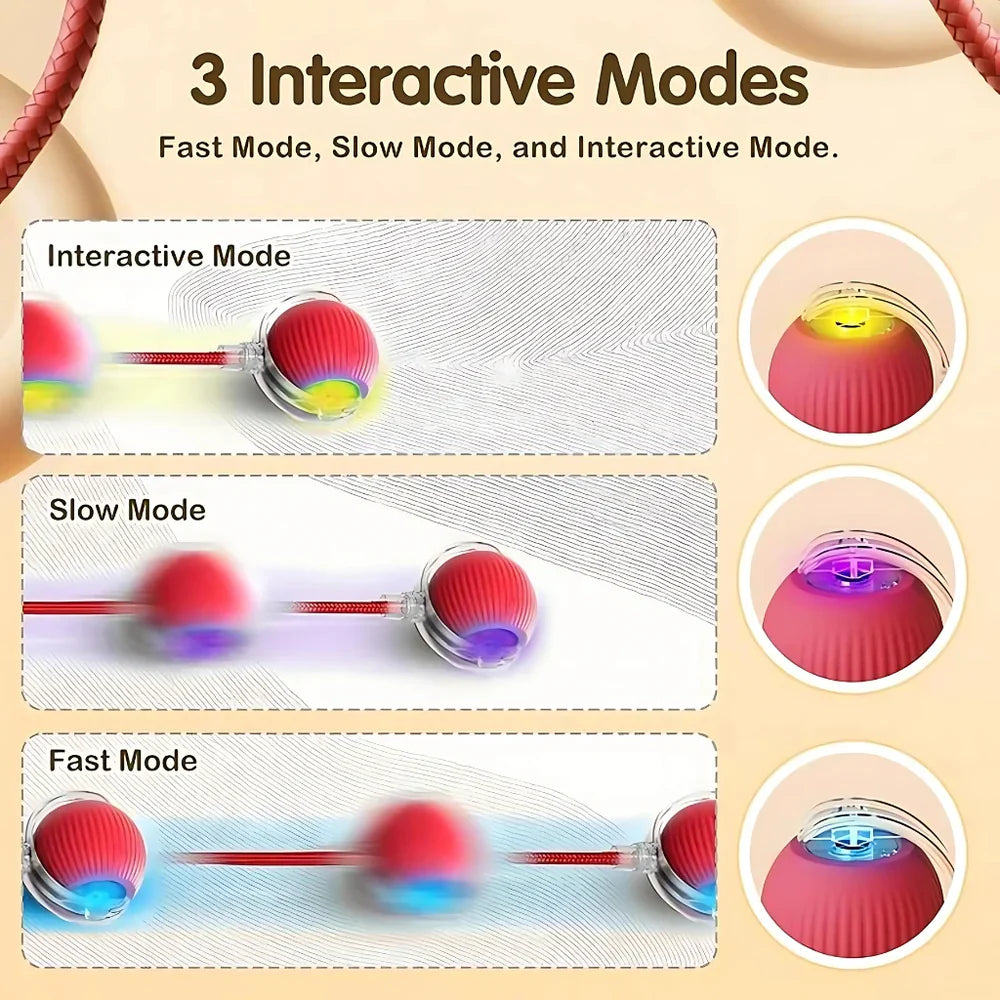 Smart Rolling Pet Toy Ball