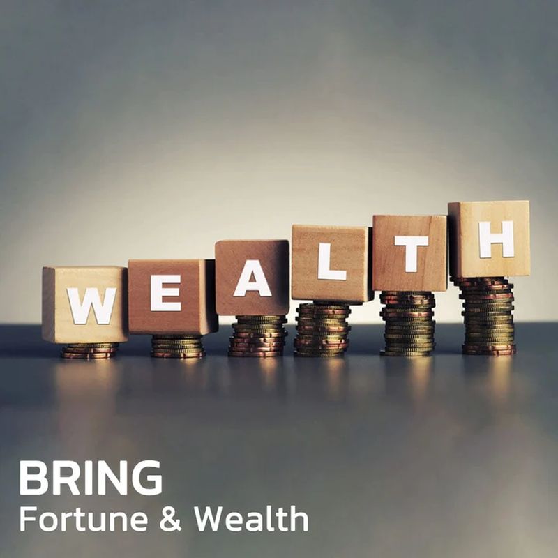 FengShui Pi Xiu Amethyst Bracelet