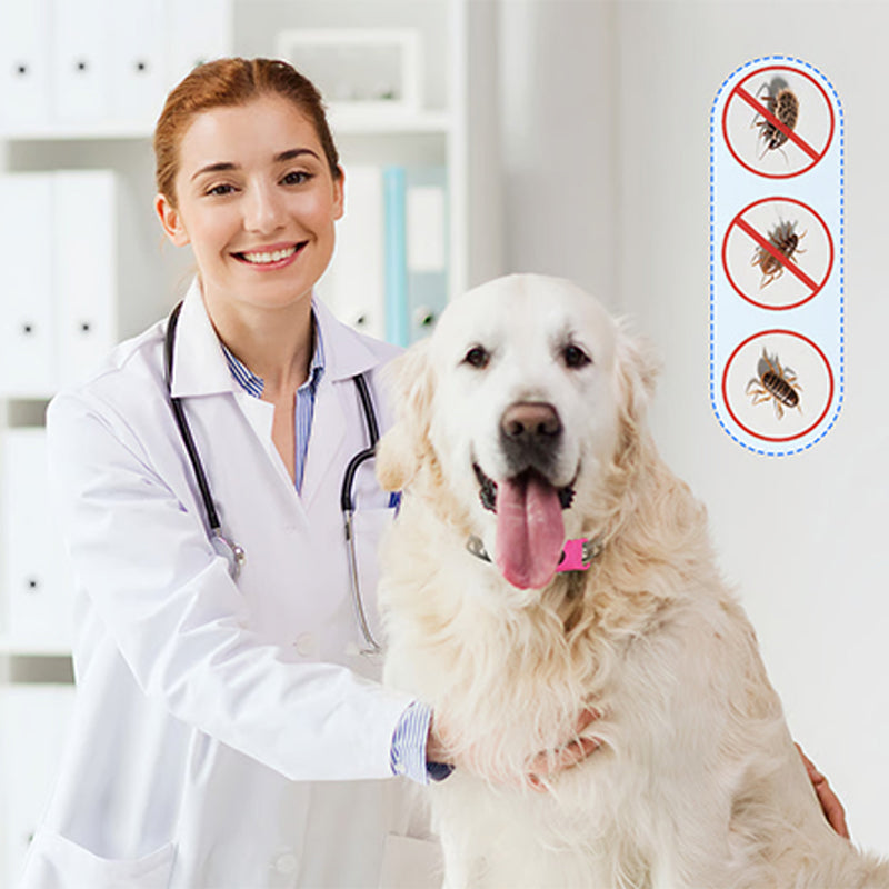 Pet anti-insect collar buckle