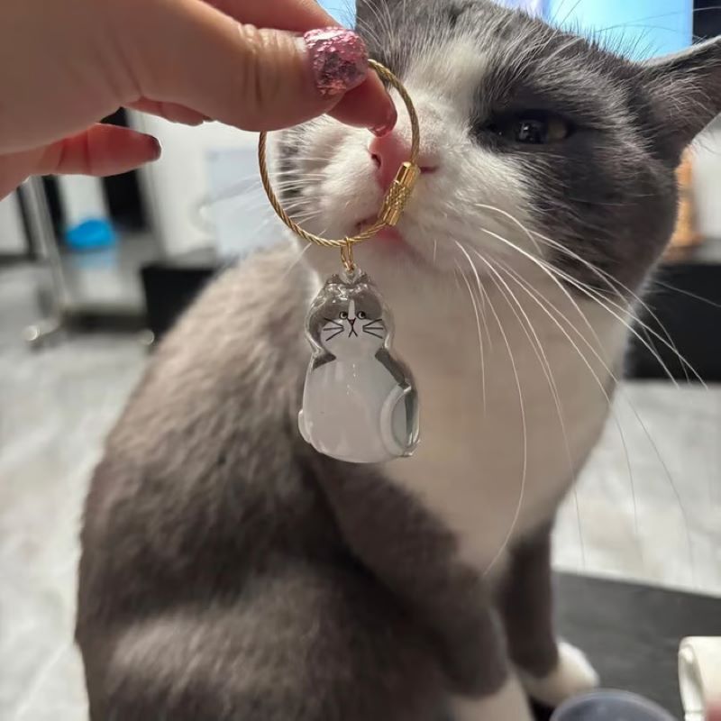 😽Cute cat fur souvenir pendant🎁