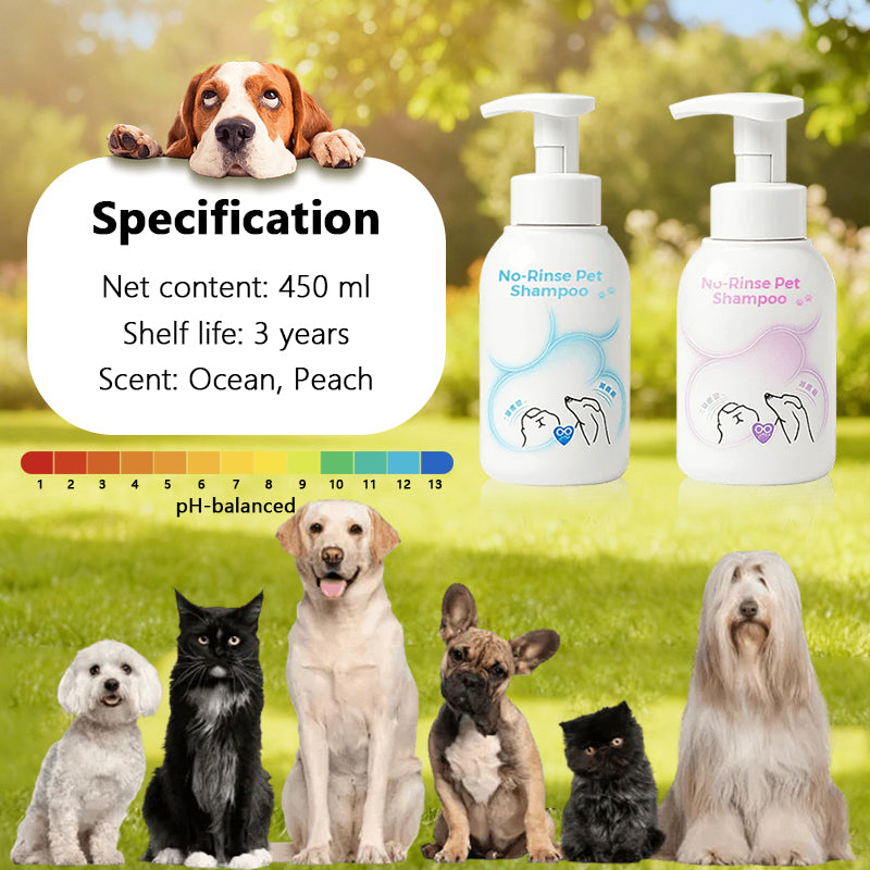 Pet no-rinse foam shampoo