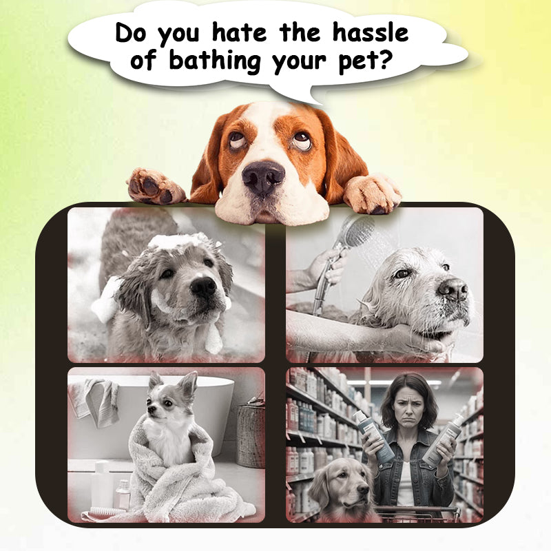 Pet no-rinse foam shampoo