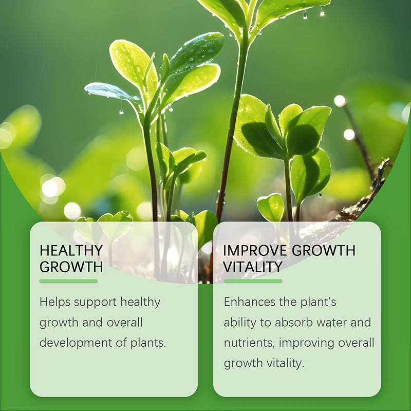 Ready-to-use plant nutrient spray (no dilution required)