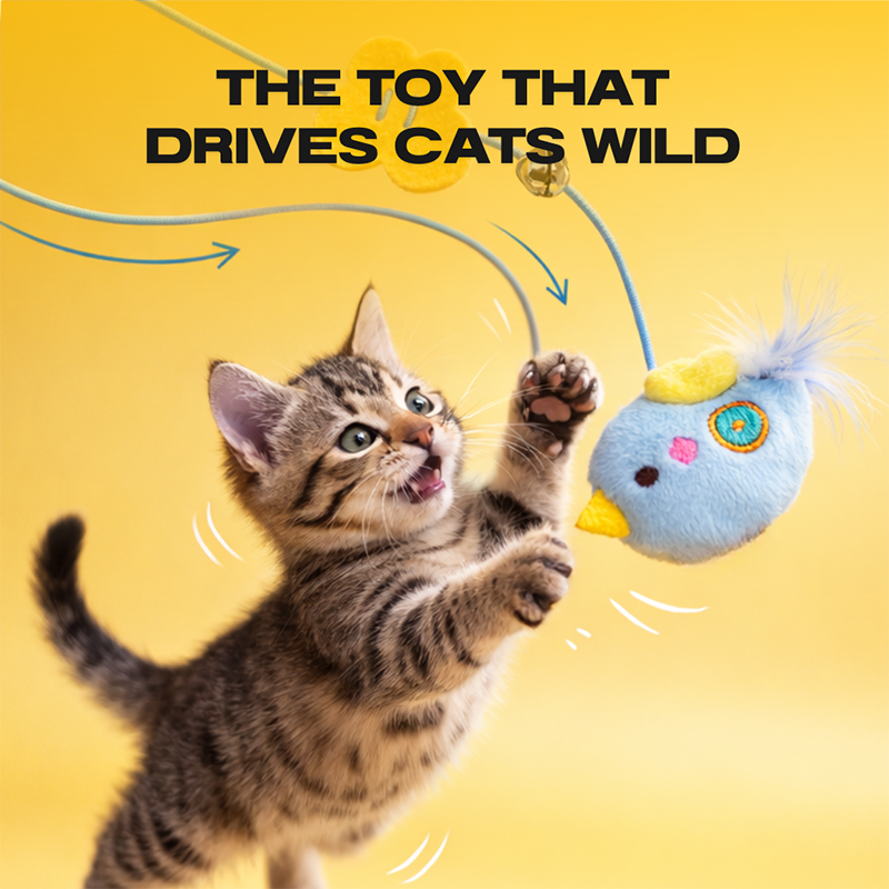 Cat Self-Play Elastic String Toy