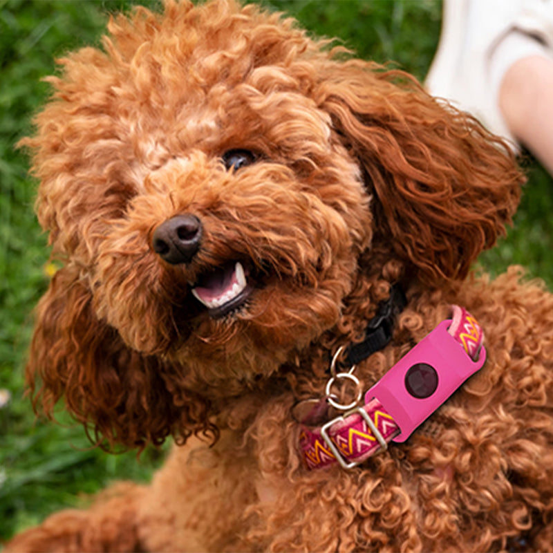 Pet anti-insect collar buckle