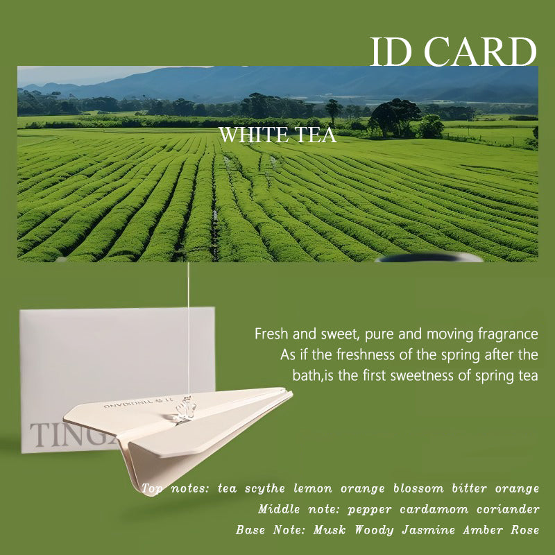 Hanging Car Air Freshener Paper Airplane