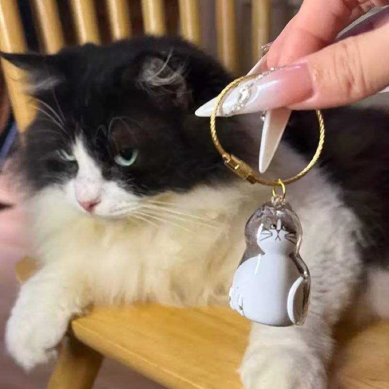 😽Cute cat fur souvenir pendant🎁