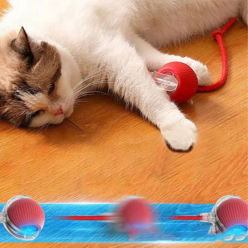 Smart Rolling Pet Toy Ball