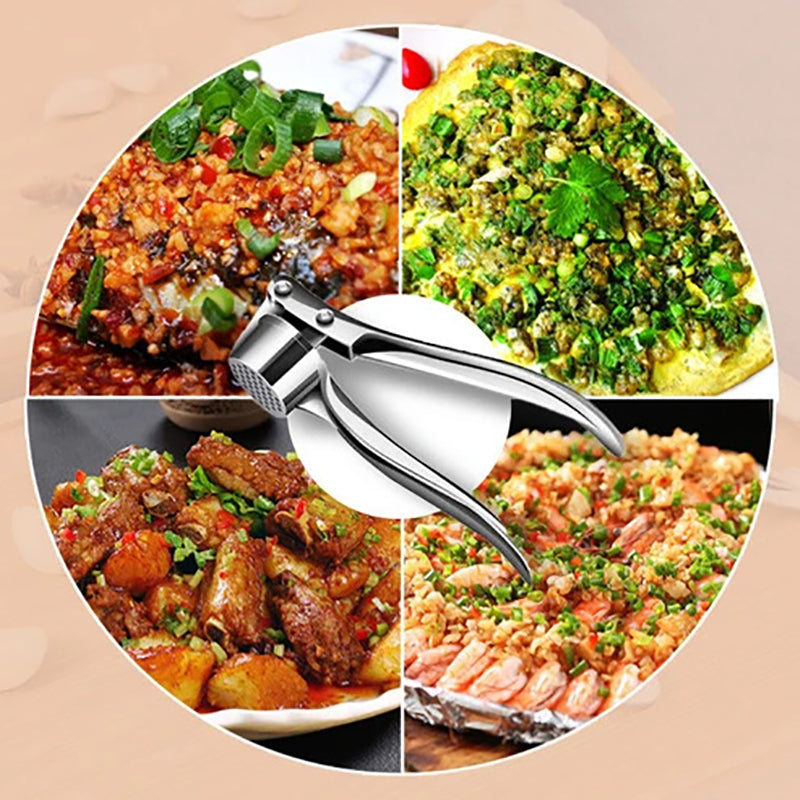 Alloy Garlic Press