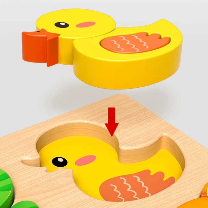 Educational 3D Wooden Puzzle