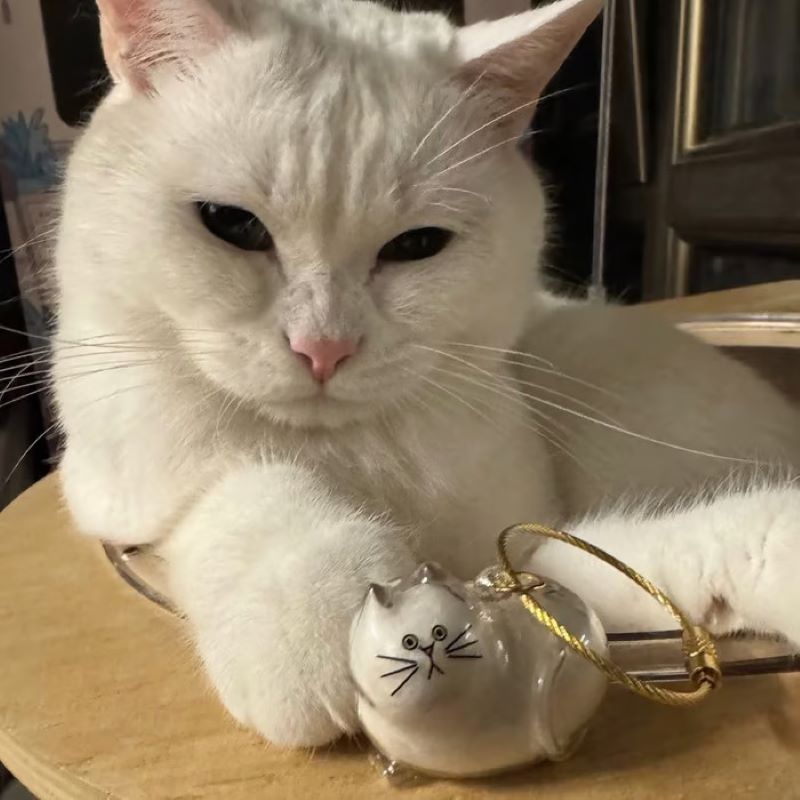 😽Cute cat fur souvenir pendant🎁
