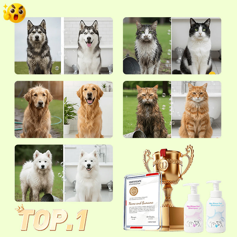 Pet no-rinse foam shampoo