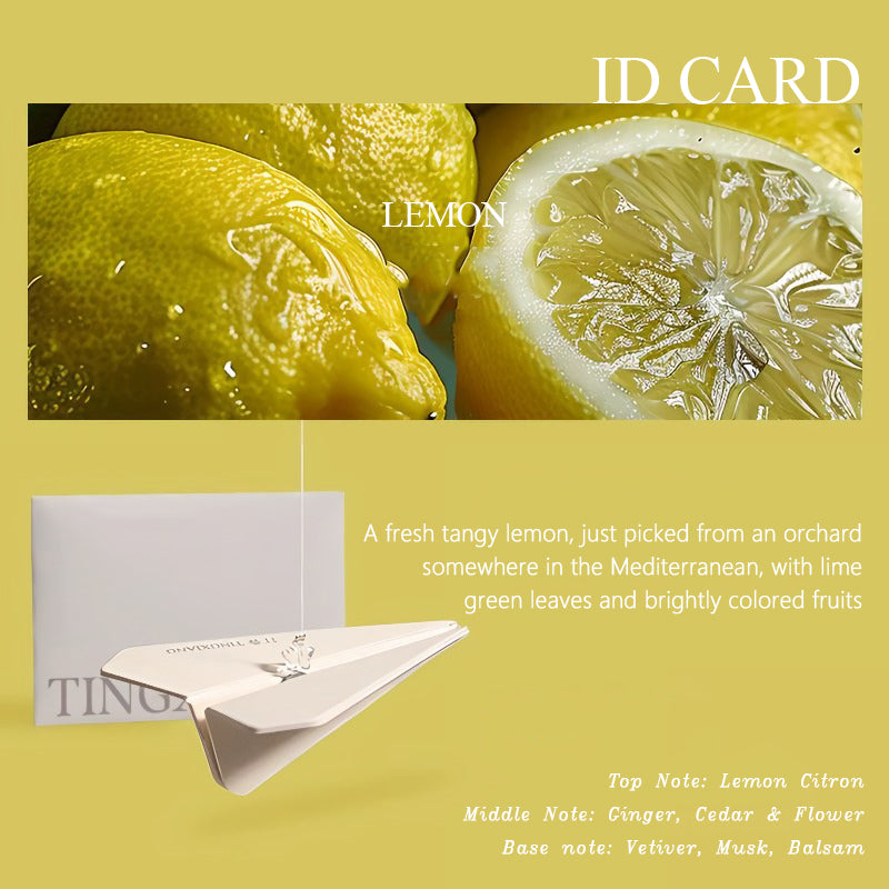 Hanging Car Air Freshener Paper Airplane