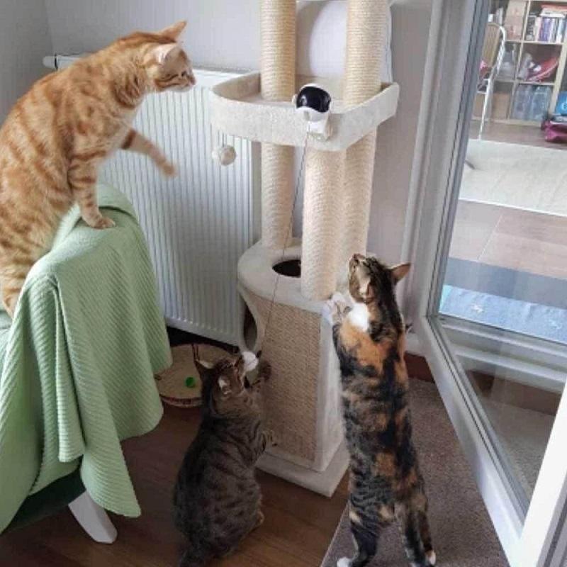 Lifting Ball Electric Cat Toy