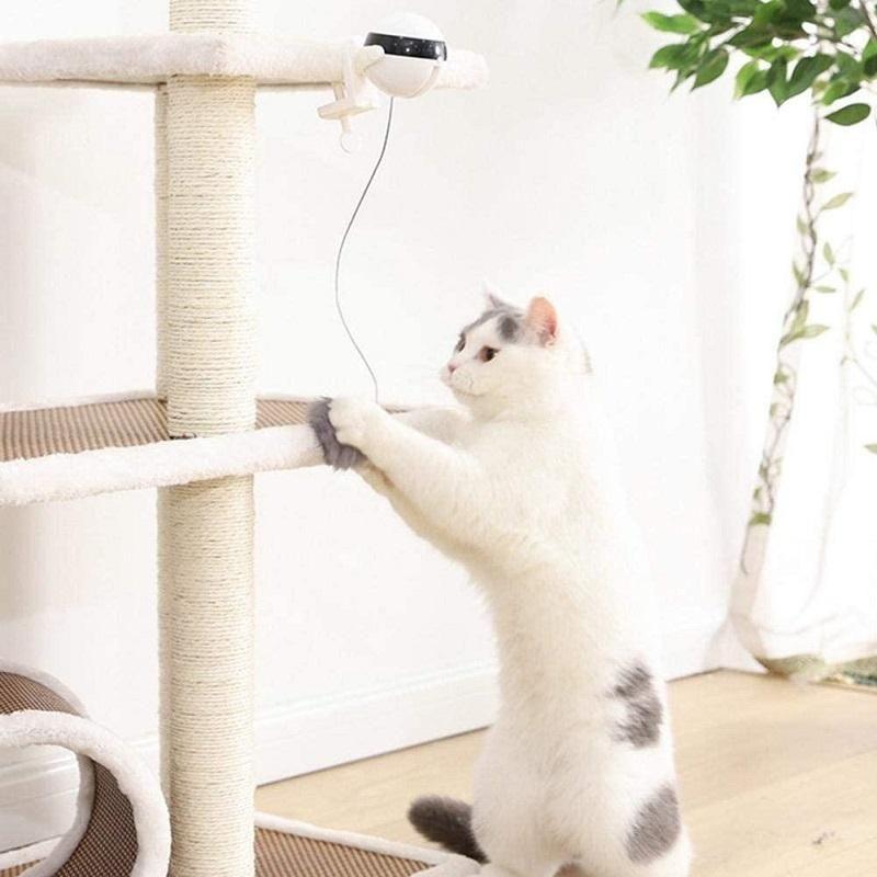 Lifting Ball Electric Cat Toy