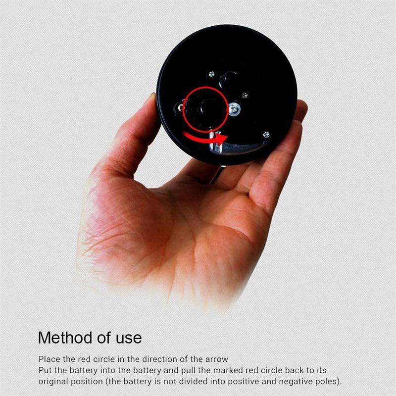 Pet Educational Toys Magic Ball