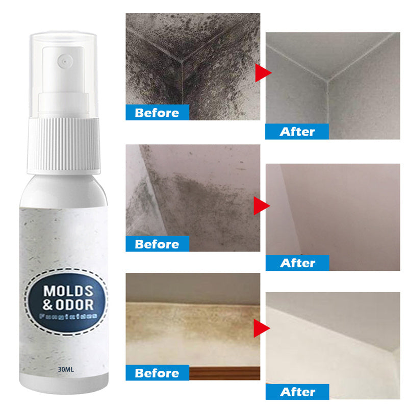 Multifunctional Wall Mildew Cleaner
