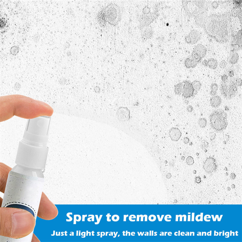 Multifunctional Wall Mildew Cleaner