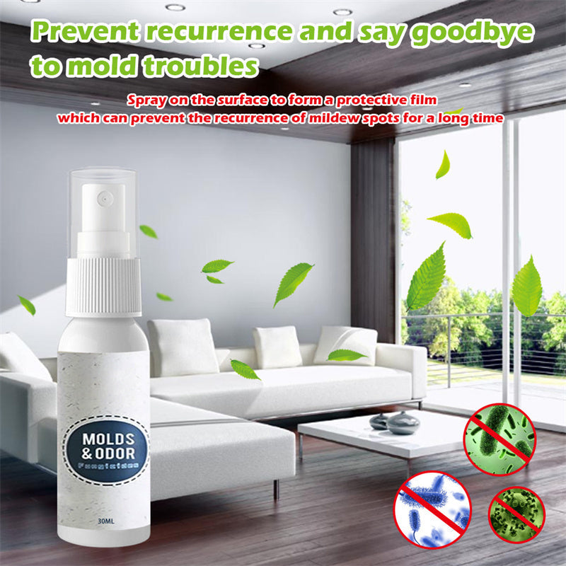 Multifunctional Wall Mildew Cleaner