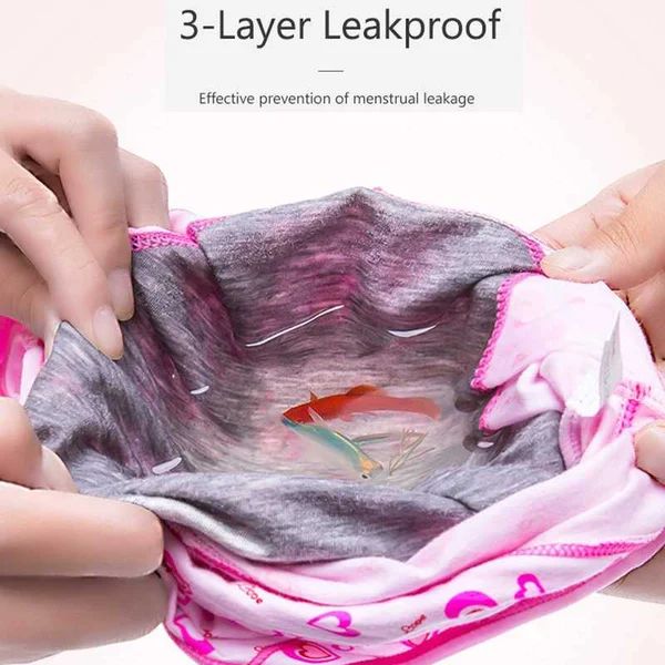 Leakproof Panties Bundle