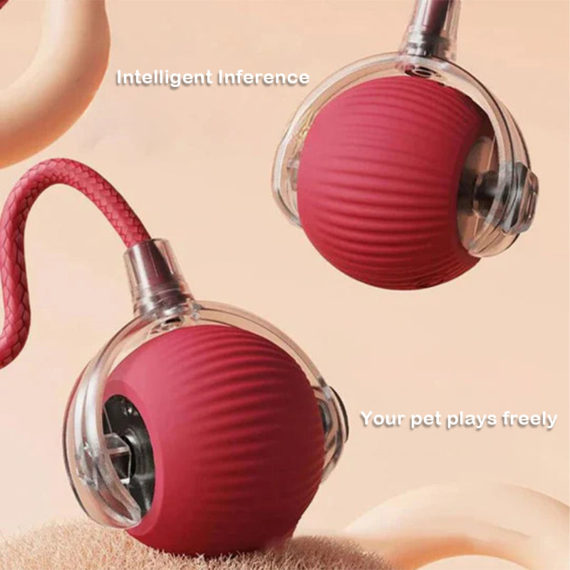 Smart Rolling Pet Toy Ball
