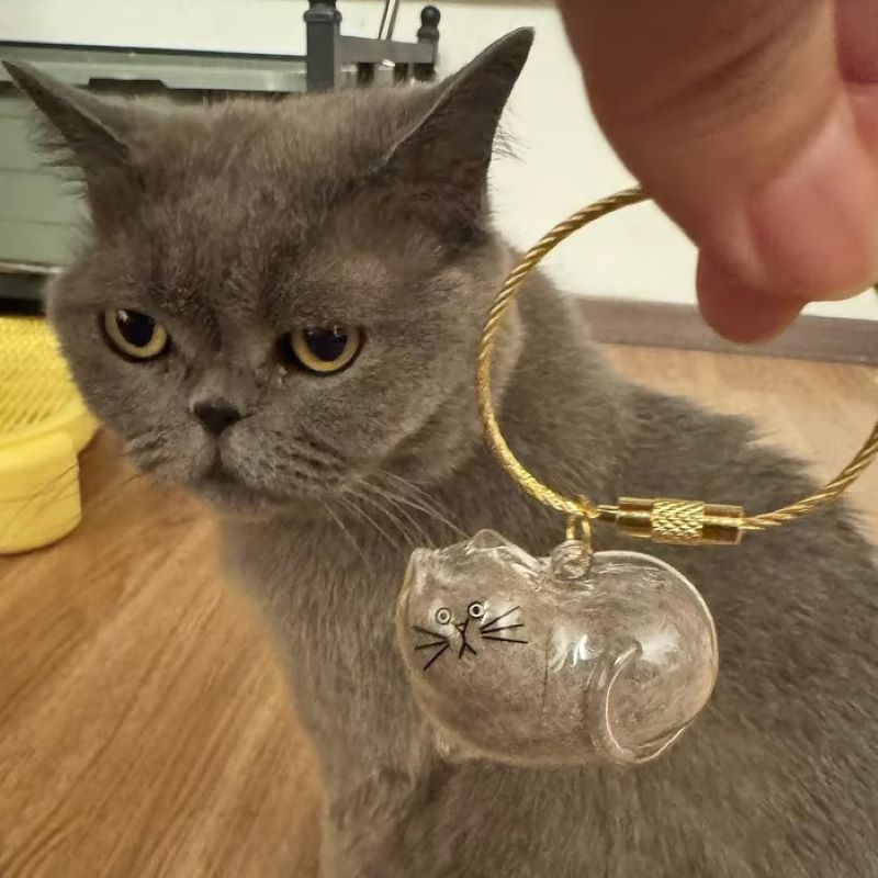 😽Cute cat fur souvenir pendant🎁