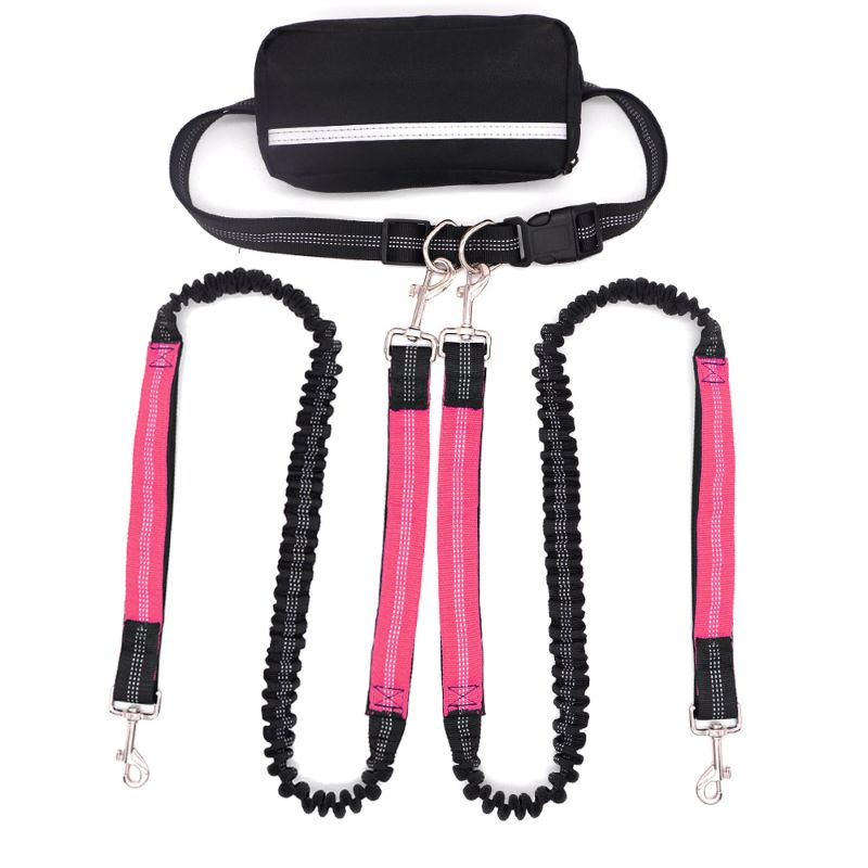 Hands Free Dog Leash with Zipper Bag