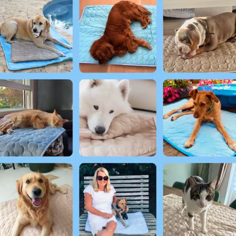 Cooling Mat for Dogs (4x More Effective)