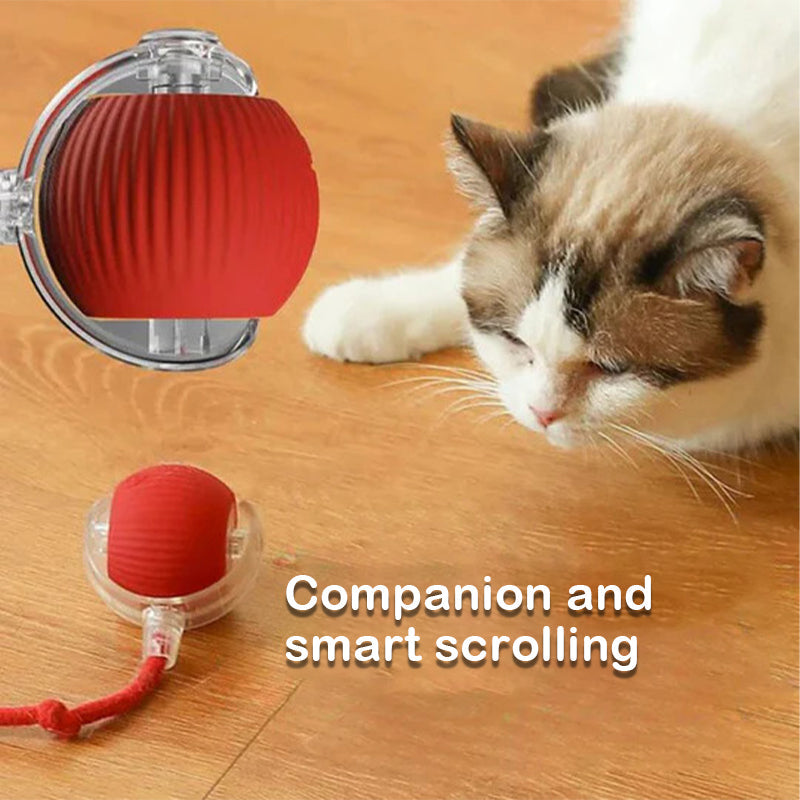 Smart Rolling Pet Toy Ball