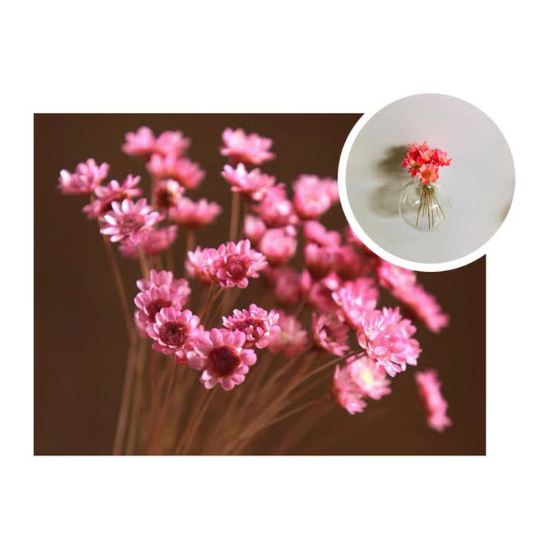 Mini ceramic vase-shaped refrigerator magnets