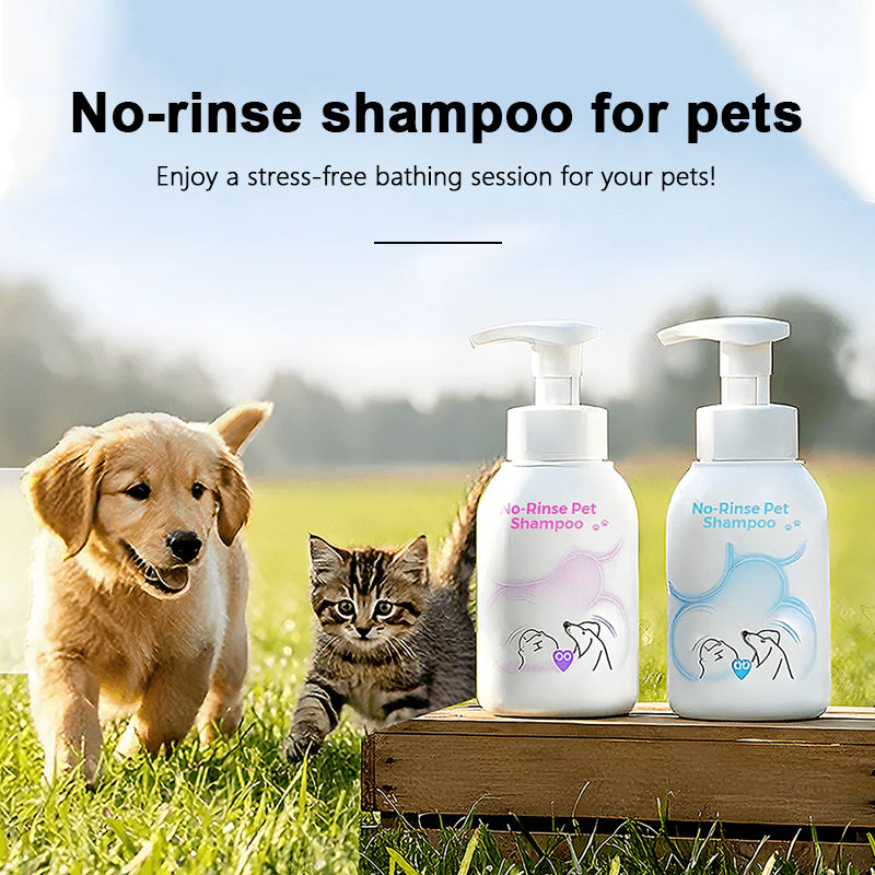 Pet no-rinse foam shampoo