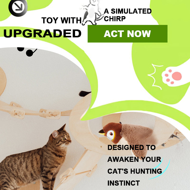 Simulation electric bird cat toy with flapping wings