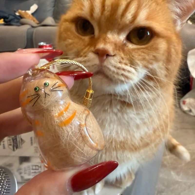 😽Cute cat fur souvenir pendant🎁