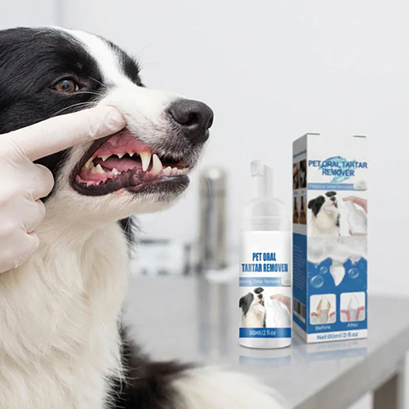 Foaming descaling agent for animal oral hygiene