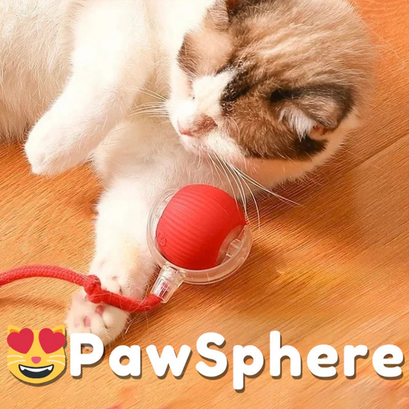 Smart Rolling Pet Toy Ball