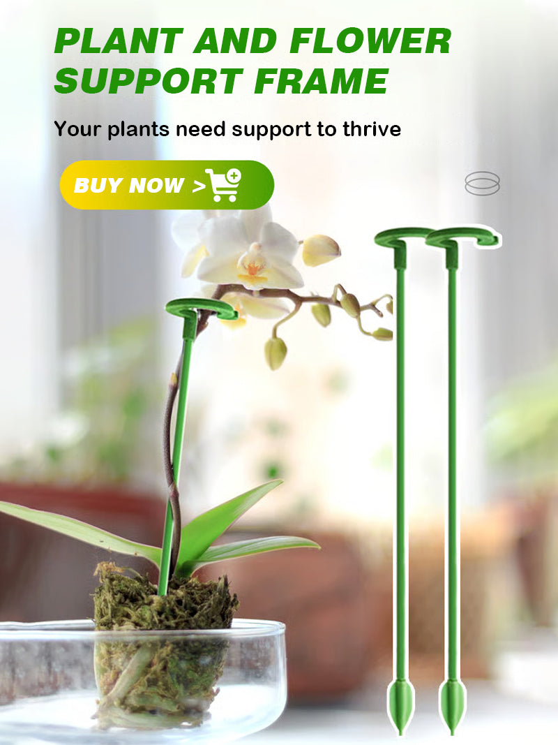 Climbing plant anti-lodging fixed bracket