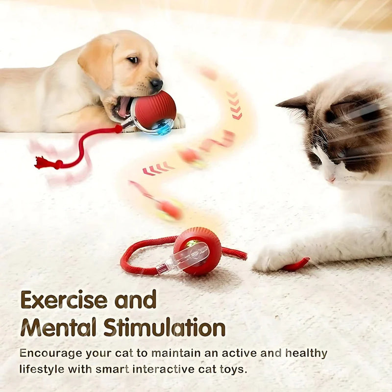 Smart Rolling Pet Toy Ball