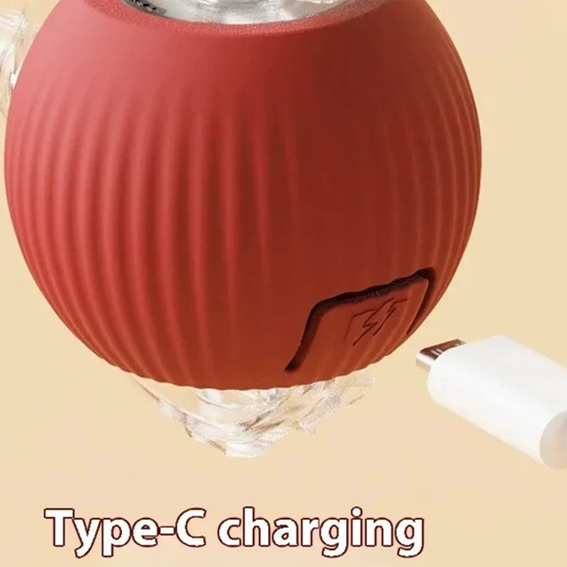 Smart Rolling Pet Toy Ball