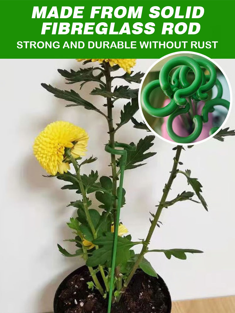 Climbing plant anti-lodging fixed bracket